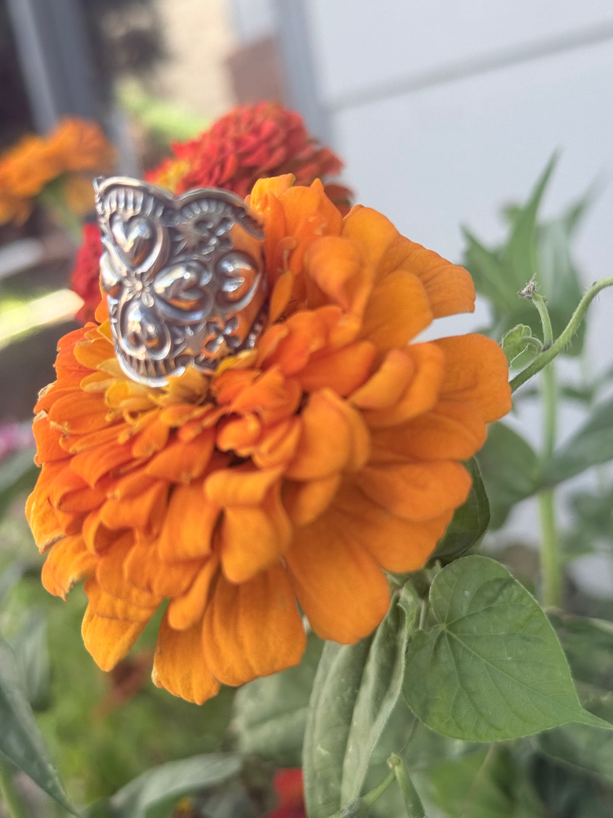 Sunshine Reeves Sterling Silver Cigar Band Stamped Ring